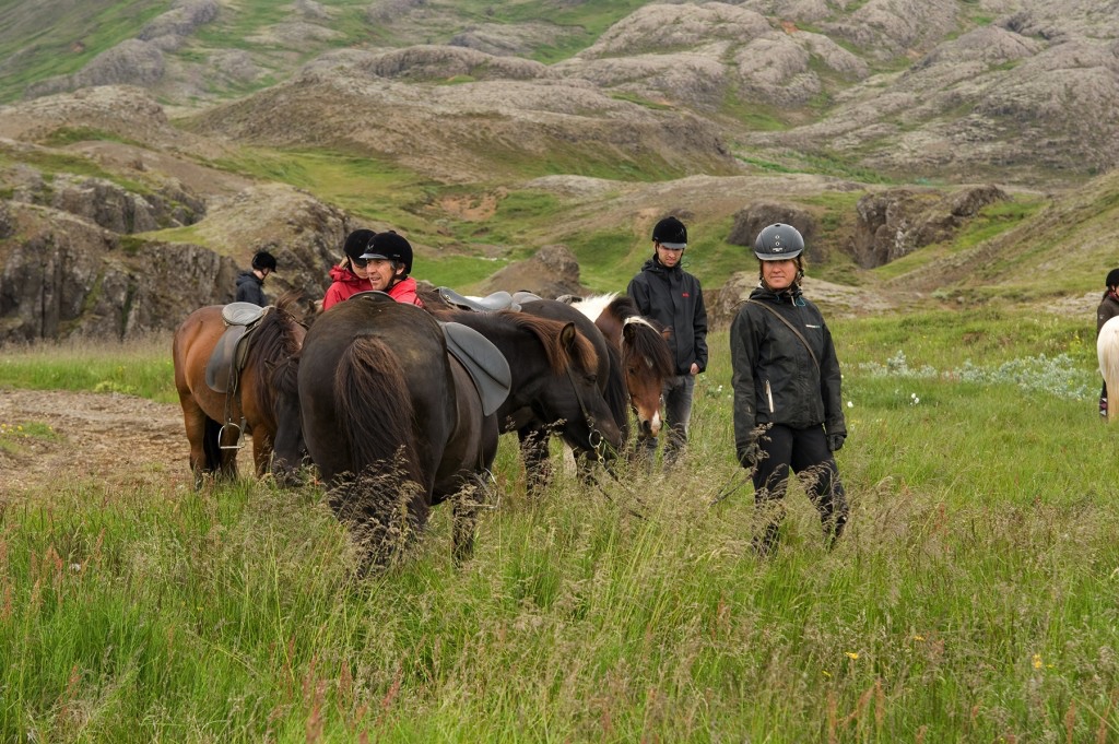 Horseback riders and Icelandic horses taking break in green grass landscape close to river canyon Iceland