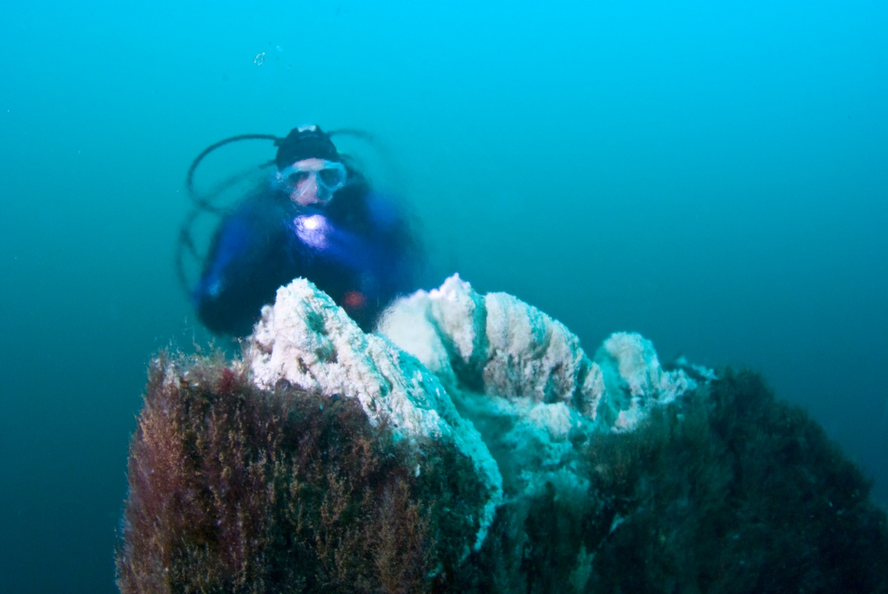 Diver at the top of big Strýtan behind the halo- & thermocline