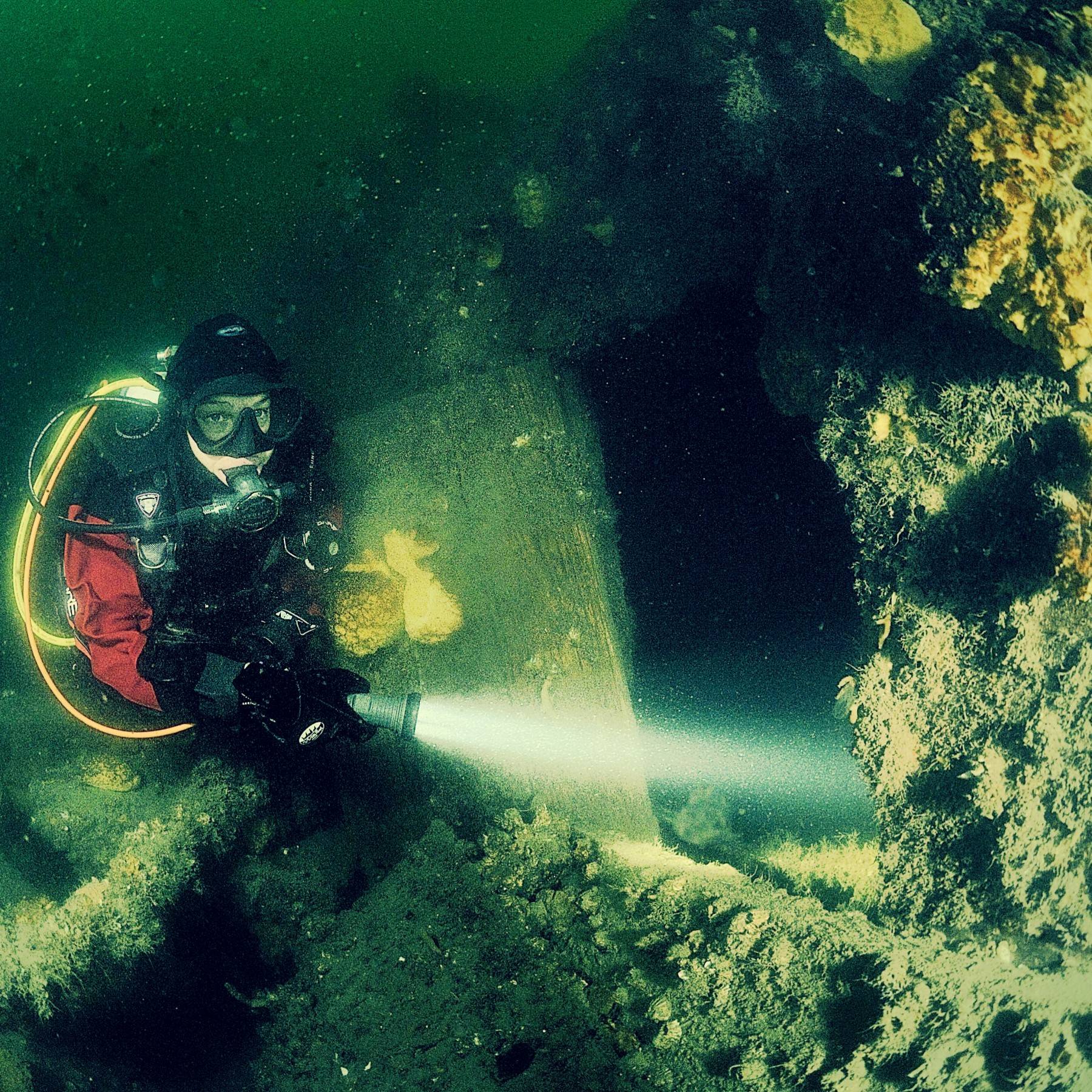 A diver shines her torch into the El Grillo shipwreck at Seyðisfjörður, Iceland