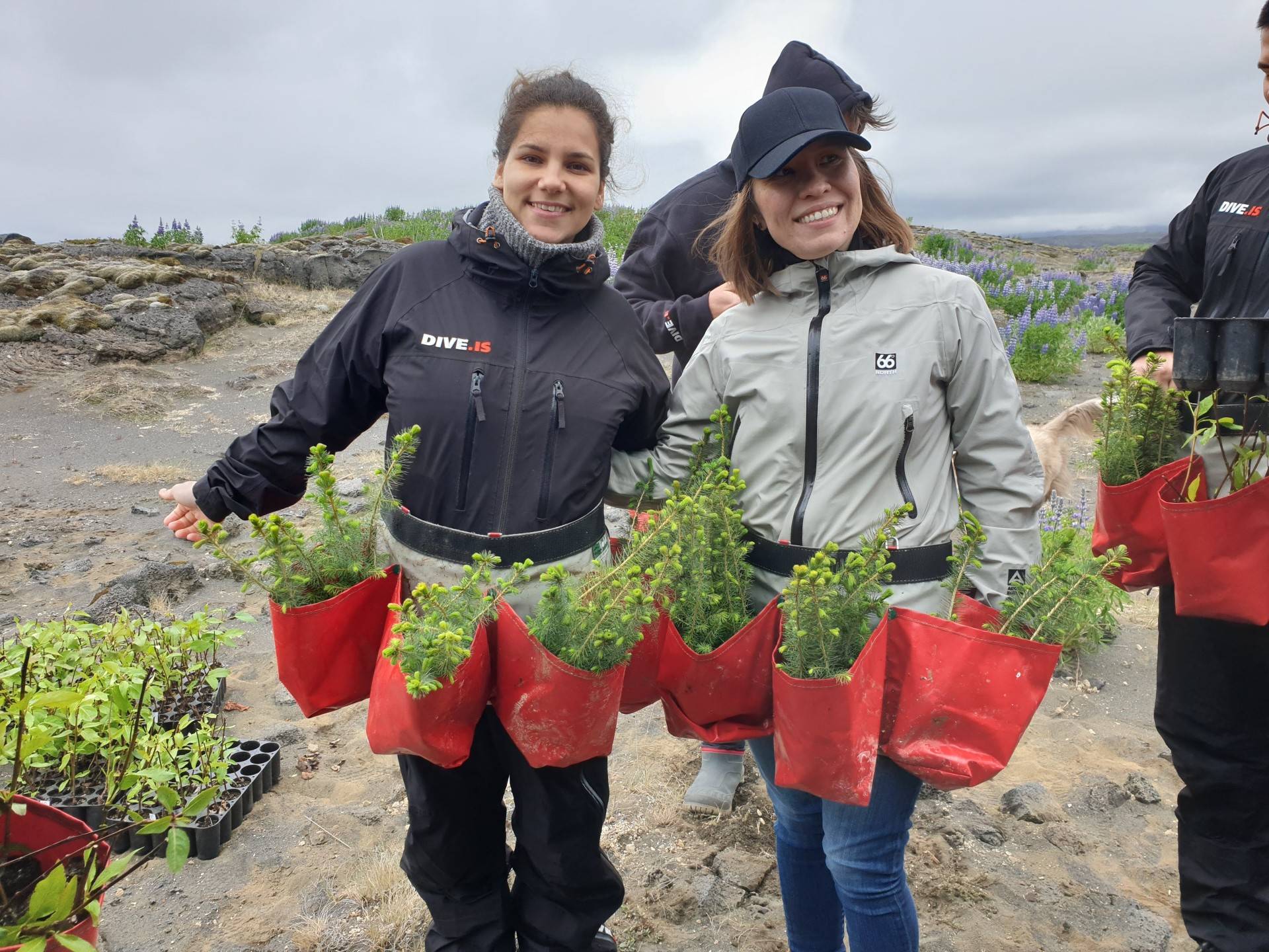 the-dive.is-team-plant-a-forest-iceland.jpg