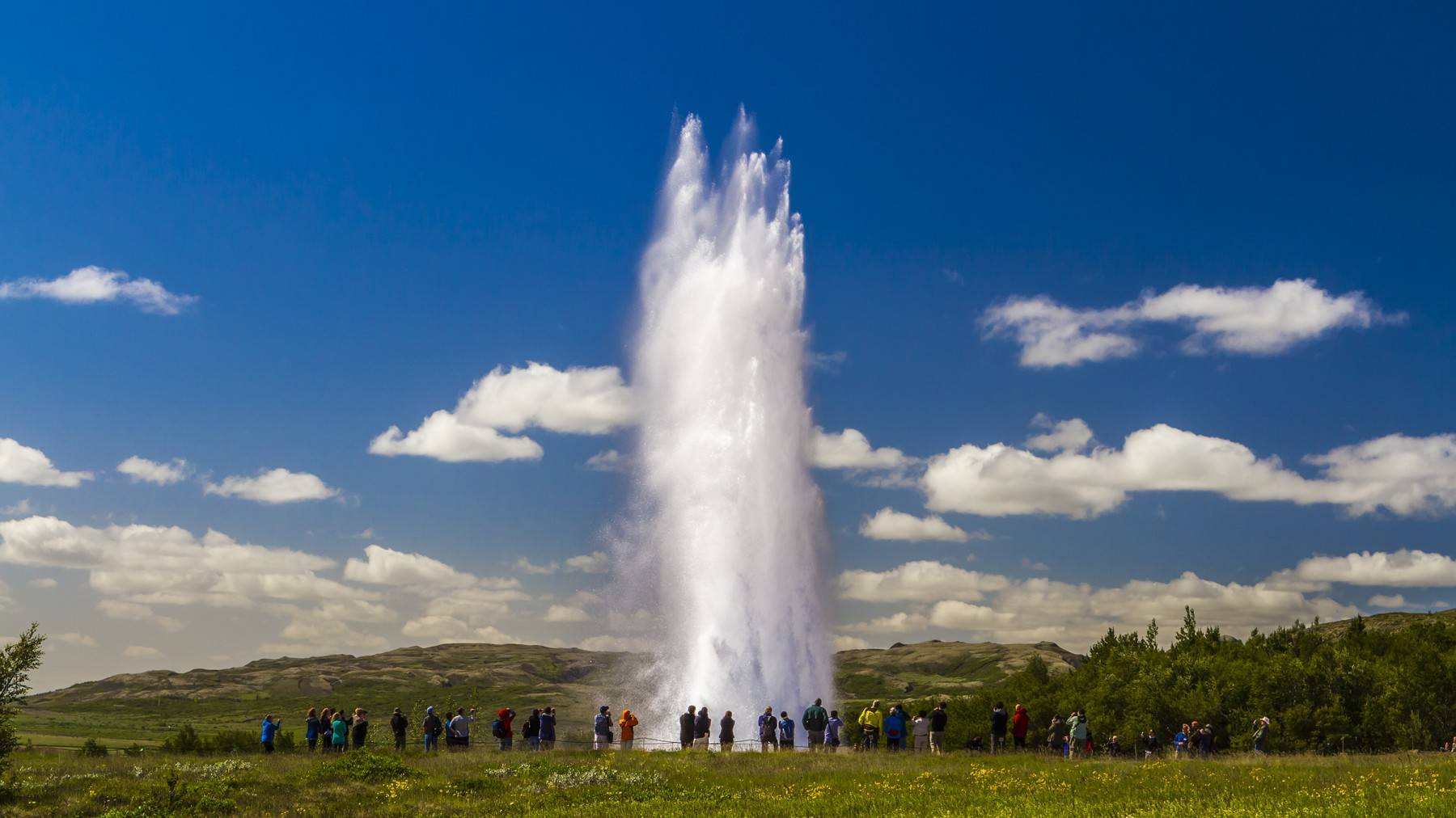 Strokkur geyser in summer Iceland