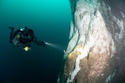 ocean-dive-iceland-400x267-q80.jpg