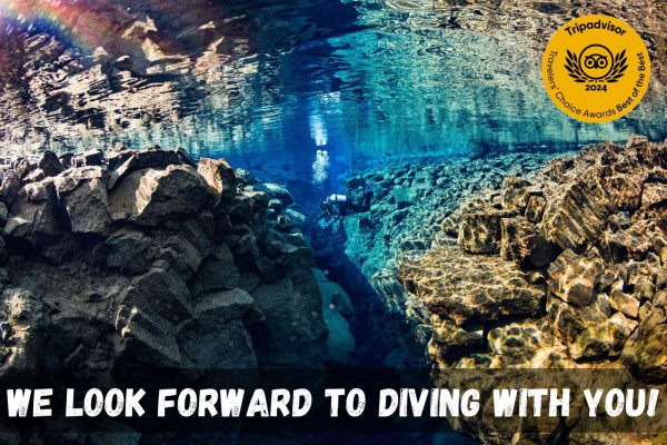 We look forward to diving with you!