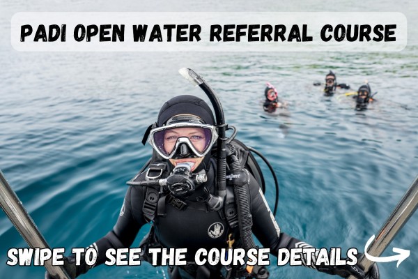 dive.is-padi-open-water-referral-course-1-600x400.jpg