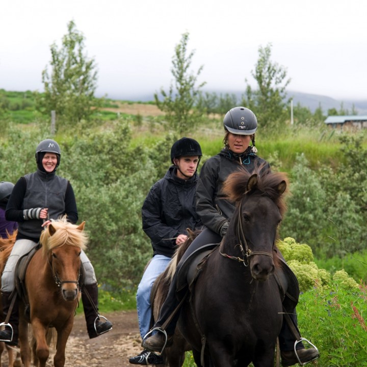 horseback-riding-tour-iceland-laxness-720x720.jpg