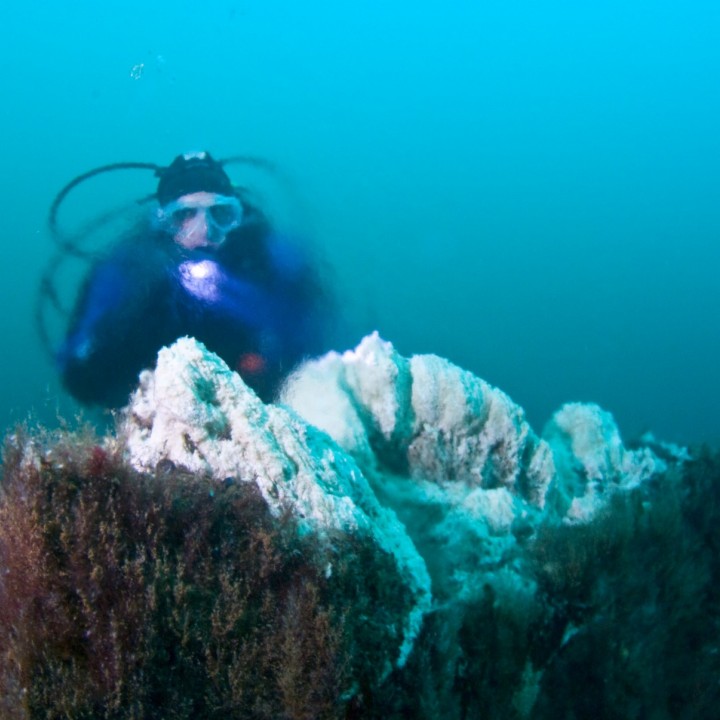 diver-top-of-big-strytan-dive-light-iceland-720x720.jpg