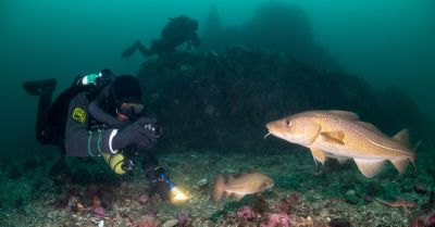 dive-strytan-day-tour-dive.is-iceland-400x209-q80.jpg