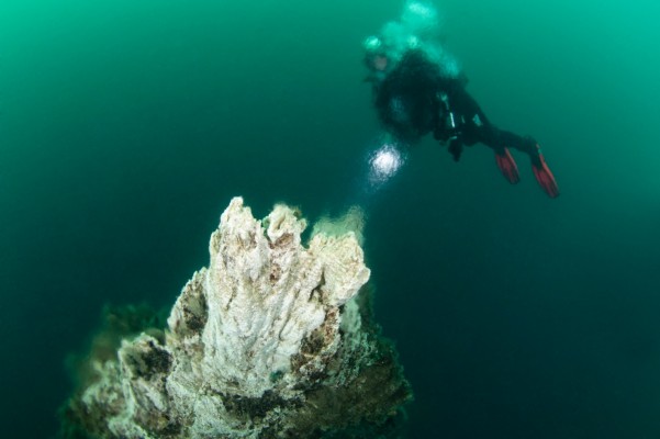 diver-at-strytan-geothermal-chimneys-in-iceland-601x400.jpg