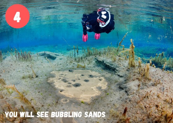 Dive.is Bubbling sands snorkeling tour North Iceland snorkeler watching bubbling sands