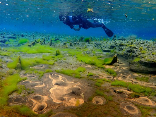 river snorkeling bubbling sands on diamond circle north iceland with dive.is