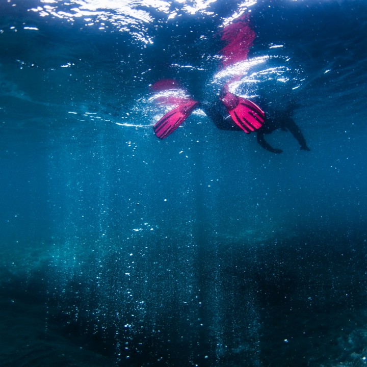 wideangle-blue-bubble-columns-snorkeler-redfins-by-e-magnusson-720x720.jpg