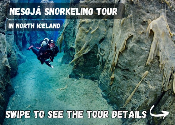 DIVE.IS Nesgjá fissure snorkeling tour in the North Iceland tour details