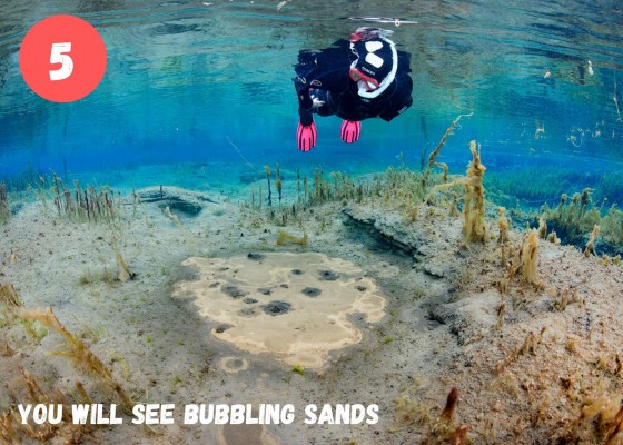 DIVE.IS Whale Watching Bubbling Sands snorkeling tour in North Iceland snorkeler watching bubbling sands